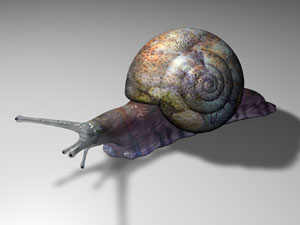 Caracol